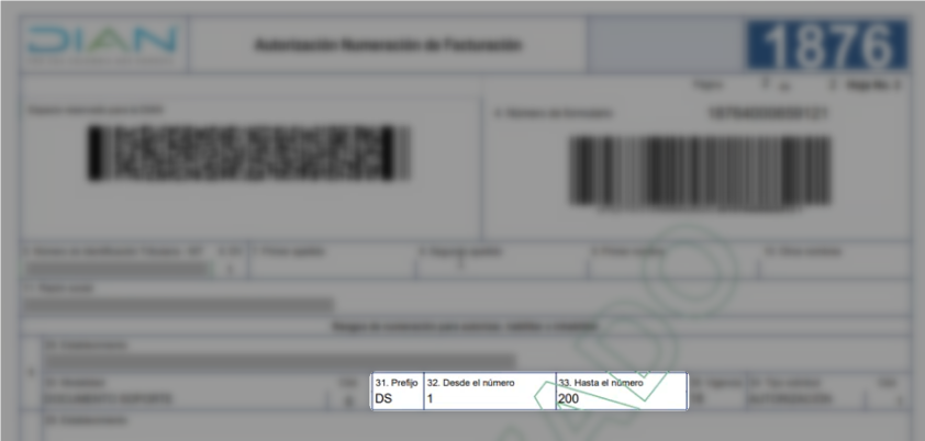 Cómo expedir la resolución para documento soporte en la DIAN y realizar ...